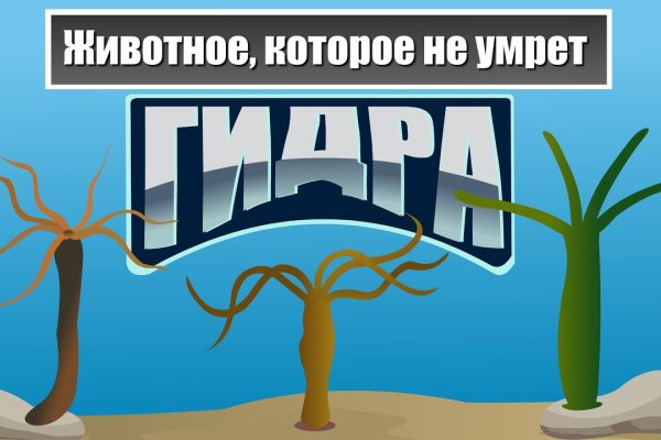 Кракен торговая kr2web in