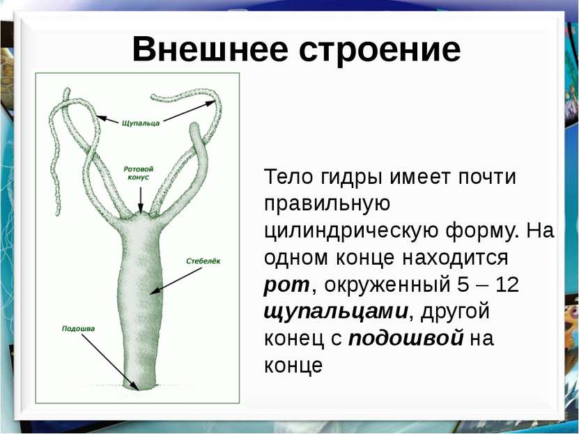 Как зайти на кракен даркнет